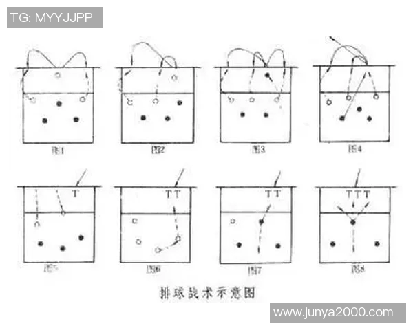 北京排球队反击战术解析与未来发展展望