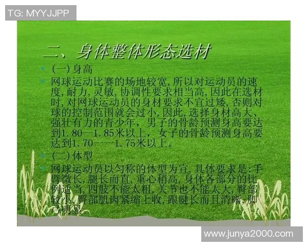 深圳网球队耐力对比深度解析与训练策略探讨