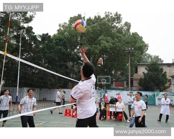 深圳排球队的拼搏精神与团队意识探讨：排球运动中的团结与奋斗