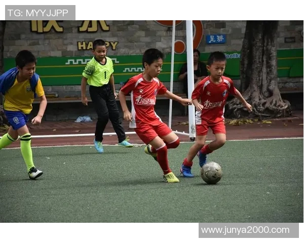 深度对话杨敏探讨足球人生的起伏与梦想追寻