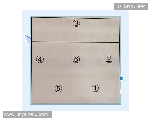 北京排球队防反革新探索新战术提升竞技水平的深度分析