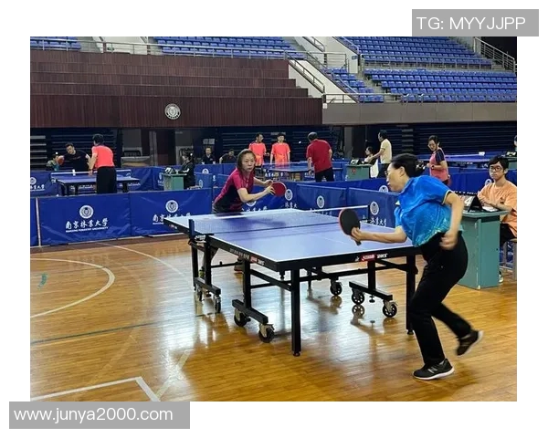 南京乒乓球队在精英赛中的技术表现分析与点评探讨