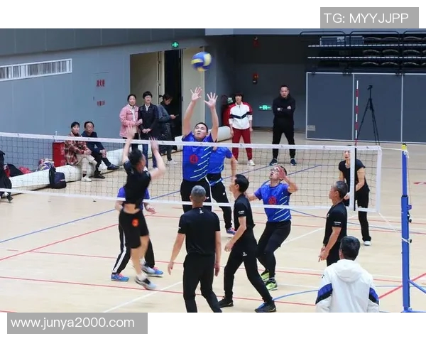 权威发布：2023年排球意识与实力综合排行榜揭晓分析