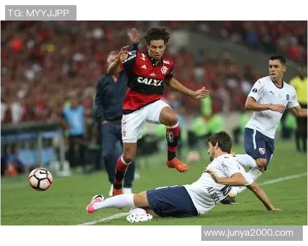 阿根廷足球队与弗拉门戈的精彩对决引发全球关注与热议