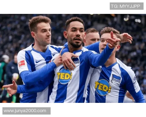 韦恩对阵汉堡比赛分析及比分预测建议