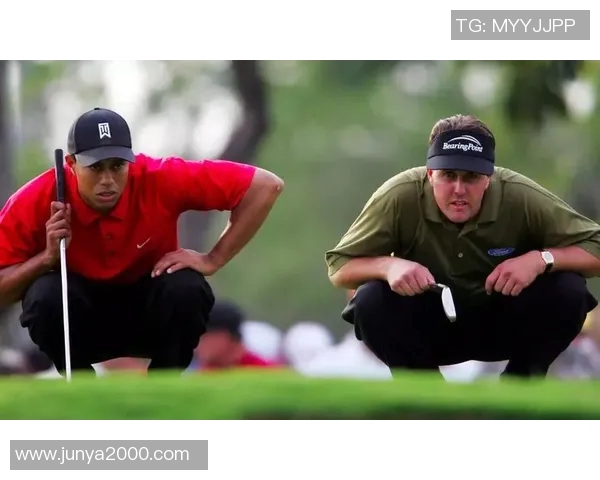 巴西国际与博塔直播精彩对决全程回顾与分析