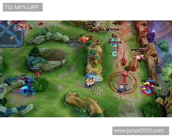 王者荣耀背后的故事：LNG战队的拼搏与荣耀之路纪实