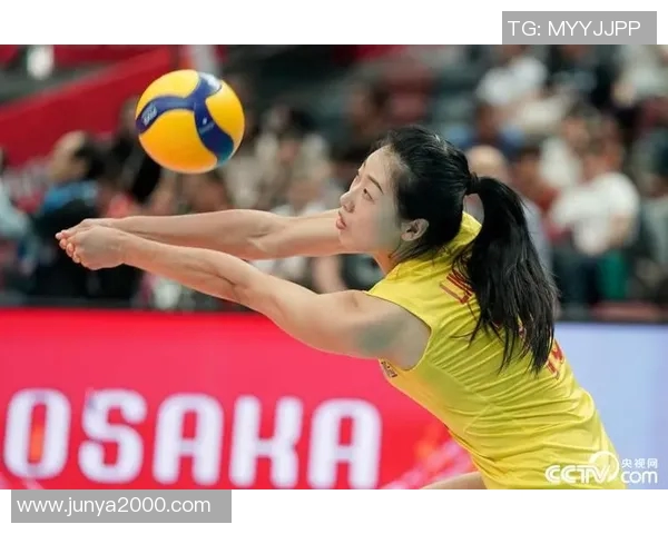 深圳排球队最新排球配合TOP10揭晓技战术全面升级引领潮流